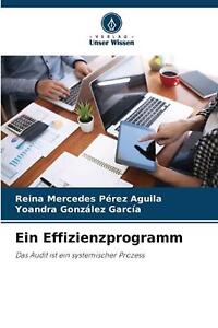 Ein Effizienzprogramm von Reina Mercedes P?rez Aguila Taschenbuch Buch
