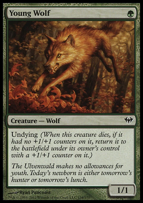 Magic The Gathering Young Wolf (134/175) Dark Ascension LP Magic The Gathering Foto 1 de 1
