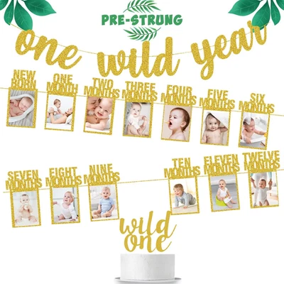 Wild One Glitter One Year Banner + Baby 1St Birthday Photo Banner - Safari & Jun - Image 1 of 4