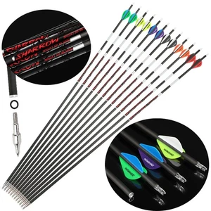 31 Zoll Reine Carbonpfeile Leuchtende SP300-600 Bogenschießen Jagdpfeile .003" - Picture 1 of 21