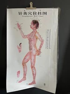 Póster de pared de acupuntura póster educativo envío gratuito - Imagen 1 de 7