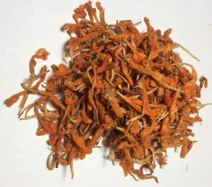 Wilde Dagga Blütenblätter (Leonotis leonurus) Wild geerntet Südafrika 2 Unzen... - Bild 1 von 2