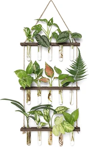 Mkono Plant Propagation Tubes, 3 Tiered Wall Hanging Terrarium with Wooden  - Picture 1 of 12