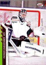 2013-14 German DEL #202 Patrick Ehelechner
