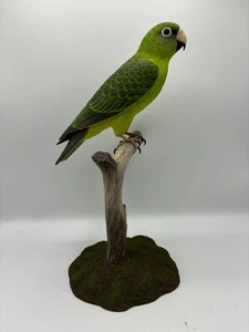 Jarbine's Parrot Original Wood Carving - Picture 1 of 4