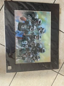 Vintage 2002 Philadelphia Eagles matted 16 x 20 Haidyn Print - Sealed - Picture 1 of 9