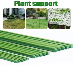Pali da Giardino Pilastro Giardinaggio Plastica Acciaio Rivestito Tubo Rampicante Piante Supporto - Foto 1 di 12