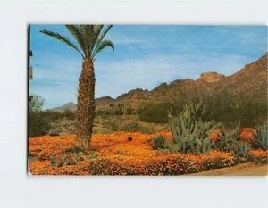 Postkarte Winter in der Wüste Arizona USA - Bild 1 von 2