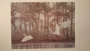 HERON, Watercolor Print, Bayou Parade, Darnell Jones - Picture 1 of 2