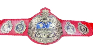 World Heavyweight Wrestling Championship Adult Size Belt 2MM Brass Leather strap - Picture 1 of 4