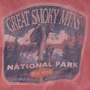 GREAT SMOKY MOUNTAINS NATIONAL PARK T SHIRT TEE BRICK RED COMFORT COLORS SIZE S - Picture 1 of 6