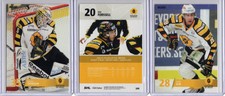 SKELLEFTEA AIK - SHL Elitset [2013/14] **** PICK YOUR CARD ****