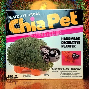 VINTAGE CHIA PET HIPPO ÜBERTOPF Kräuterzüchter Terrakotta 80er 90er Neuheit Handarbeit - Bild 1 von 11