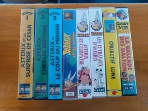 Lot de VHS vintage : Astérix, Tintin et Lucky Luke en français - Photo 1/1