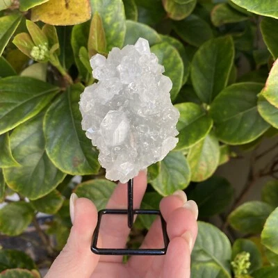 "APOPHYLLITE CRYSTAL CLUSTER" - Natural Stone on Stand - Brazil - image 1 of 4