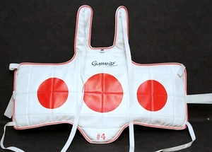 ProForce Gladiator #4 TaeKwonDo Reversible Chest Protector TKD - Picture 1 of 2