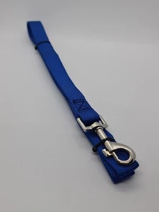 Blue Nylon Dog Lead - Picture 1 of 2