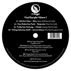Various Artists Foliage Records: Vinyl Sampler Volume 1 12 Inch Vinyl FNVS010 - Picture 1 of 1