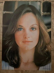 Pamela Sue Martin Nancy Drew Vintage 1977 ORIGINAL 20" x 28" Poster #2 READ - Picture 1 of 4