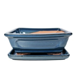 Blue Bonsai Pot & Drip Tray | 185x150x70 | Glazed Ceramic Pot | Rectangle - Picture 1 of 1
