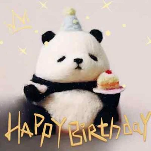 DIY Needle Felting Kit for Beginners - birthday panda - Picture 1 of 5