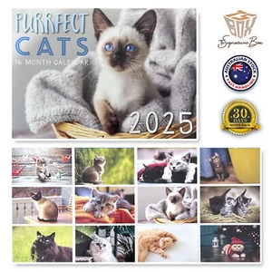 2025 Wall Calendar 16 Months PERFECT CATS New Year Gift Planner Organiser New - Picture 1 of 1