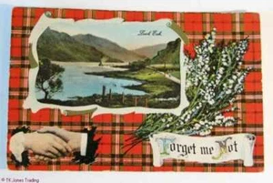 PC Loch Eck FORGET ME NOT Scottish Scots Postcard Edwardian 1/2 d Stamp 1914 - Picture 1 of 1