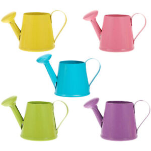  5 Pcs Iron Sheet Watering Can Child Children’s Toys for Plants