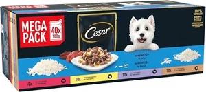 Cesar Senior Dog Pouches Sauce Selection In Jelly 40x100g - Picture 1 of 6