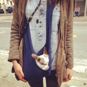 Heartpup Hundetragetuch - Bild 1 von 12