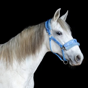 Soportes para caballos de nailon ajustables acolchados de vellón Paris Tack - Imagen 1 de 6