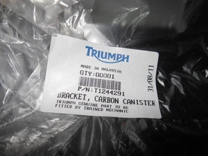 Soporte de bote de carbono Triumph Thunderbird Storm # T1244291 - Imagen 1 de 1