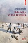Multa Forta Si Un Dram De Gingasie, Very Good Condition, , ISBN 9734684930