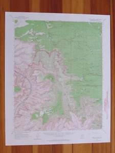 Powell Plateau Arizona 1964 Original Vintage USGS Topo Map - Picture 1 of 1