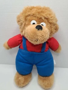Peluche The Berenstain Bears Fratello Orso Chosun Vintage Raro Giocattolo 15" - Foto 1 di 9