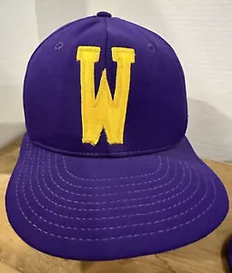 Gorra de béisbol profesional vintage NCAA Washington Huskies AJD - Imagen 1 de 13