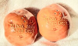  N.DAK  POTTERY ROSEMEADE POTATO  Salt & Pepper shakers  N.D Seed Dept. Logo