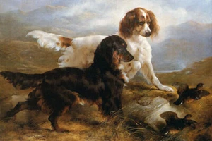 DOG SETTERS IN A HIGHLAND LANDSCAPE BIRD PAINTING ART BY EDWIN DOUGLAS REPRO - Picture 1 of 3