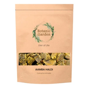 Jardín Botánico Hierba Cruda Aamba Haldi o Cúrcuma Amada 100% Hierba Orgánica Pura - Imagen 1 de 6
