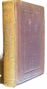 Lorenzo Benoni: Oder, Passagen im Leben eines italienischen Freundes, 1853 Redfield: NY - Bild 1 von 12