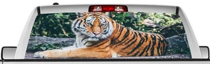 Rear window graphic view thru decal sticker, tiger, pickup truck SUV Vans - Picture 1 of 2