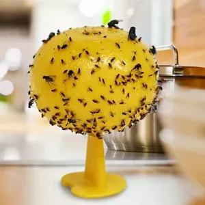 Fruit Fly Ball Fly Ball Trap Sticky Insect Ball Citrus Needle Wasp Trap Bug Trap - Picture 1 of 9