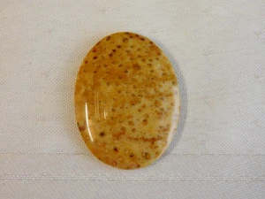 Fossil Palm Wood Cabochon - Picture 1 of 6