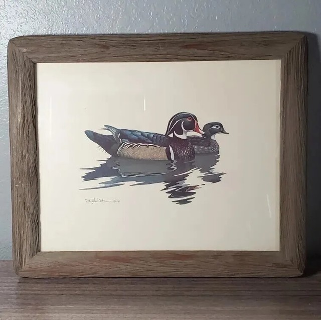 Paper Duck Art Board Print for Sale by zairse