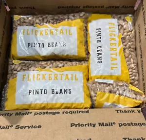 Lot 12 Bags Flickertail Dry Pinto Beans 16oz/ea Best By 10/25 Free Shipping USA - Picture 1 of 3