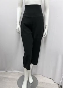Standard James Perse Pants Black NWT $175.00 Size 2 - Picture 1 of 8