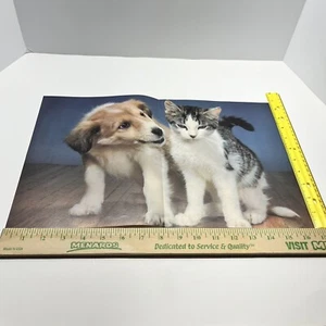 "May I Have This Dance" Cat and Dog Poster Troll Associates Book Clubs Vtg NOS - Picture 1 of 8