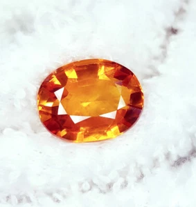 Piedras preciosas sueltas de zafiro naranja natural de 11,22 quilates certificadas corte ovalado transparente - Imagen 1 de 10