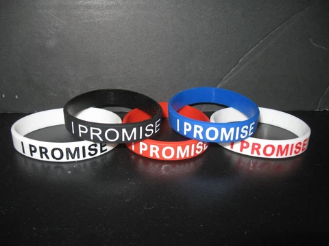 Lebron James (Set of 5) I PROMISE Energy Wristband Bracelet Bands FREE FAST SHIP Cover