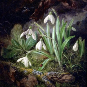 6x Solid Tumbled Marble Painted Wall Tile Snowdrops - 11cmx11cm - 4"x4" - Picture 1 of 2